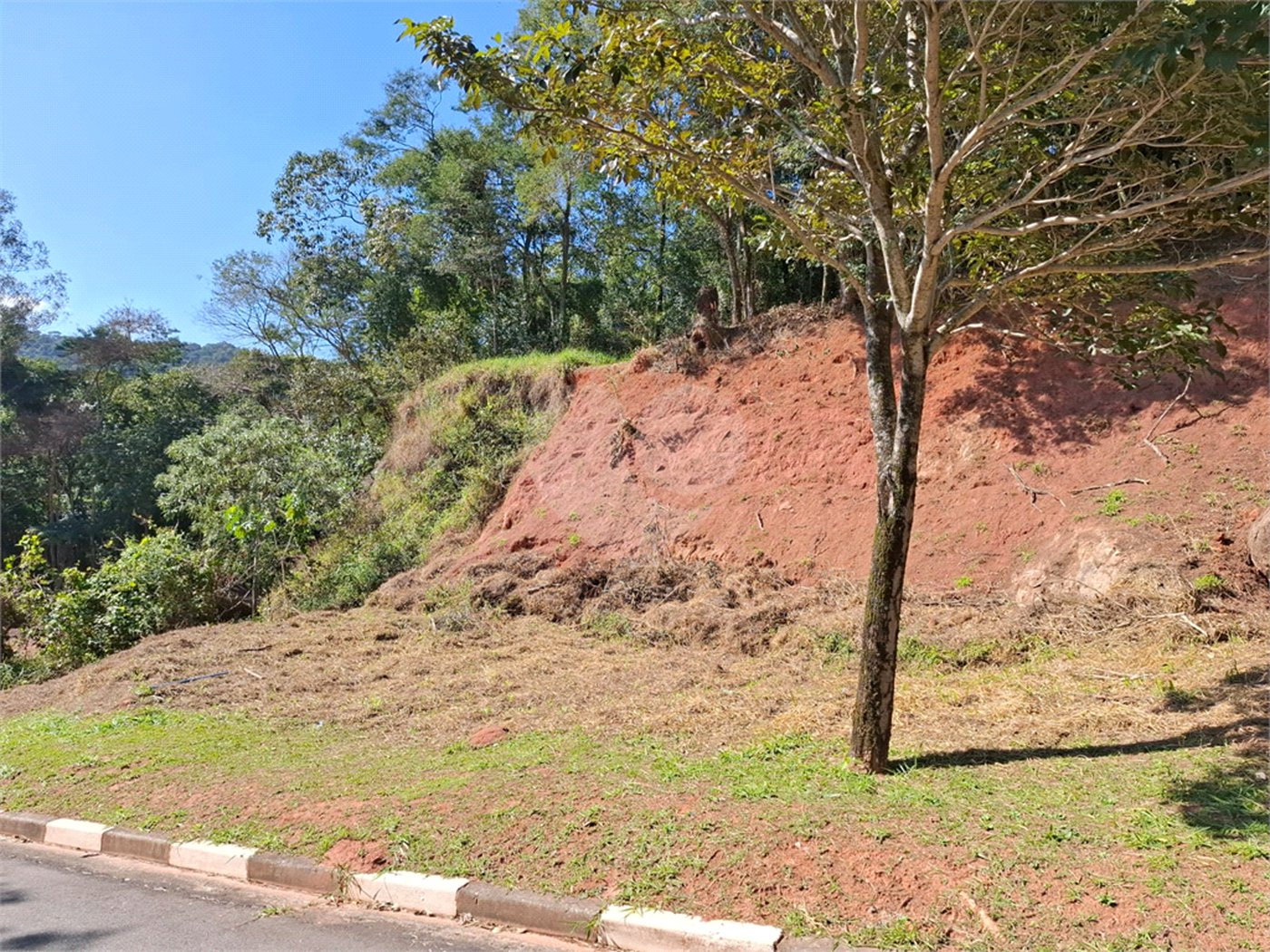 Terreno à venda em Horto Florestal, São Paulo, SP