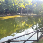 Terreno à venda no condomínio Parque Imperial da Cantareira, Mairiporã - SP