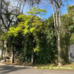 Terreno à venda no condomínio Jardim Vitória Régia, São Paulo - SP