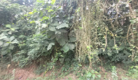Terreno à venda em Mantiqueira, Mairiporã, SP