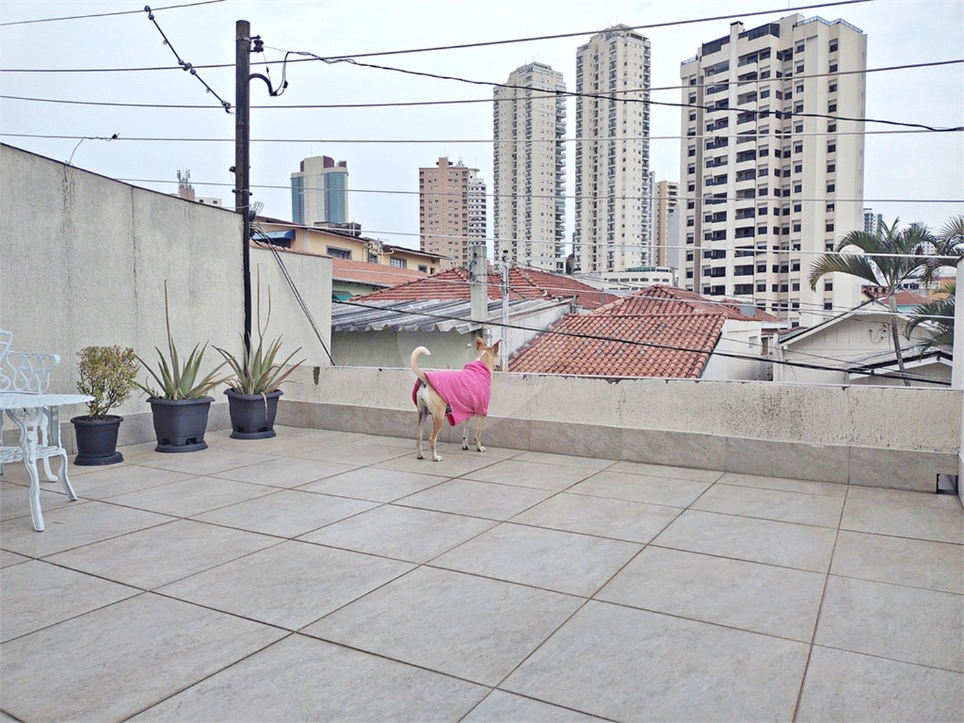 Casa à venda com 5 quartos, sendo 1 suíte, em Água Fria, São Paulo, SP