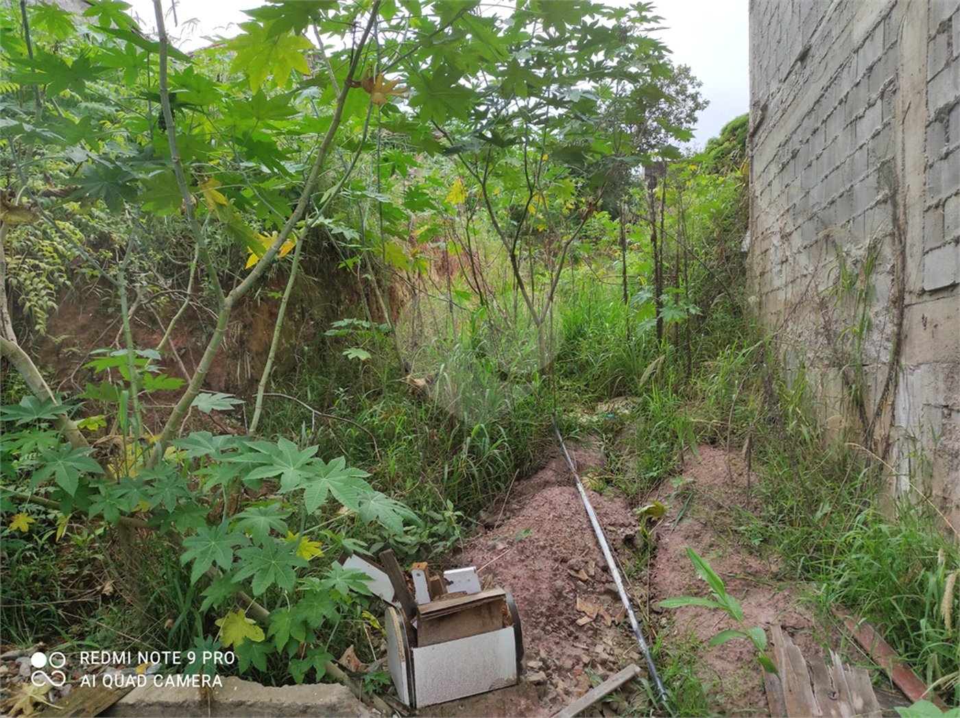Terreno à venda em Chora Menino, São Paulo, SP