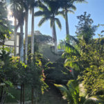 Casa em condomínio à venda com 4 quartos, sendo 3 suítes,  em Geribá, Armação dos Búzios, RJ
