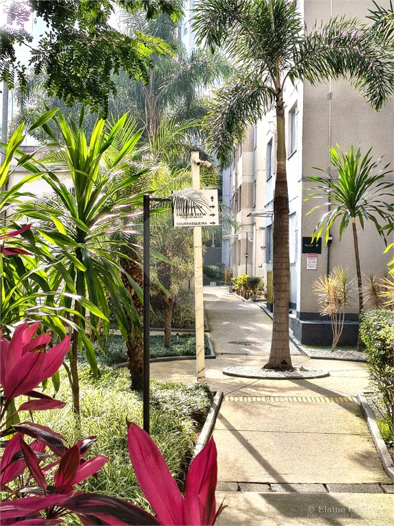 Apartamento para alugar com 2 quartos em Pirituba, São Paulo, SP
