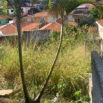 Terreno à venda em Jardim Bonfiglioli, São Paulo, SP
