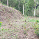 Terreno à venda em Serra da Cantareira, Mairiporã, SP