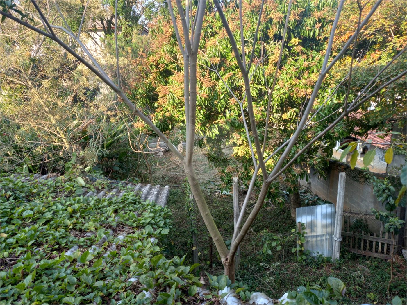 Terreno à venda em Tremembé, São Paulo, SP