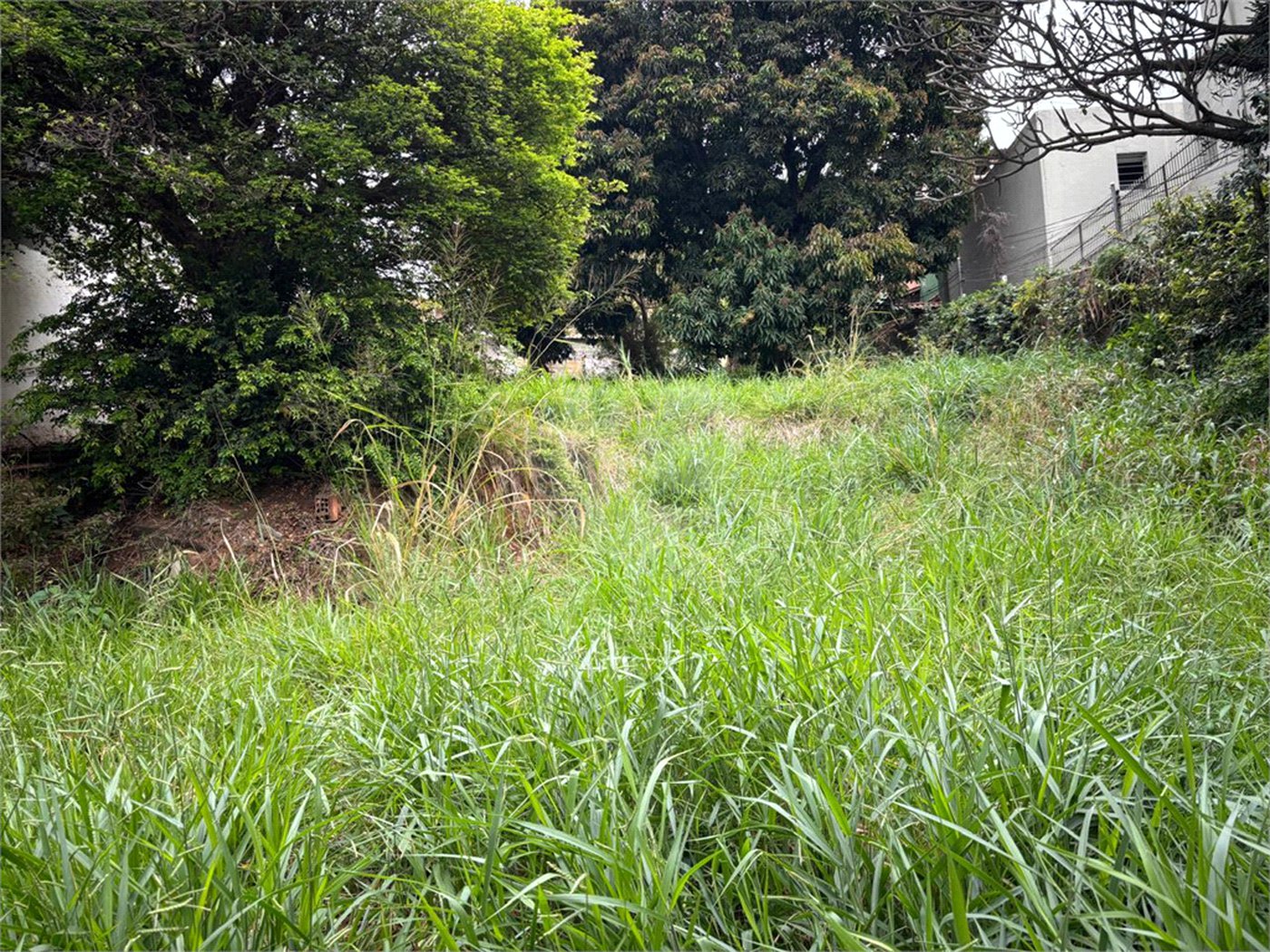 Terreno à venda em Santa Teresinha, São Paulo, SP