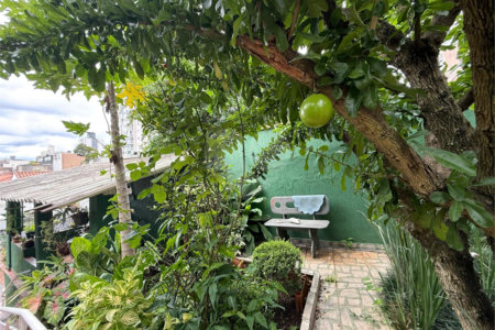 Casa à venda ou para alugar com 4 quartos, sendo 2 suítes, em Vila Mazzei, São Paulo, SP