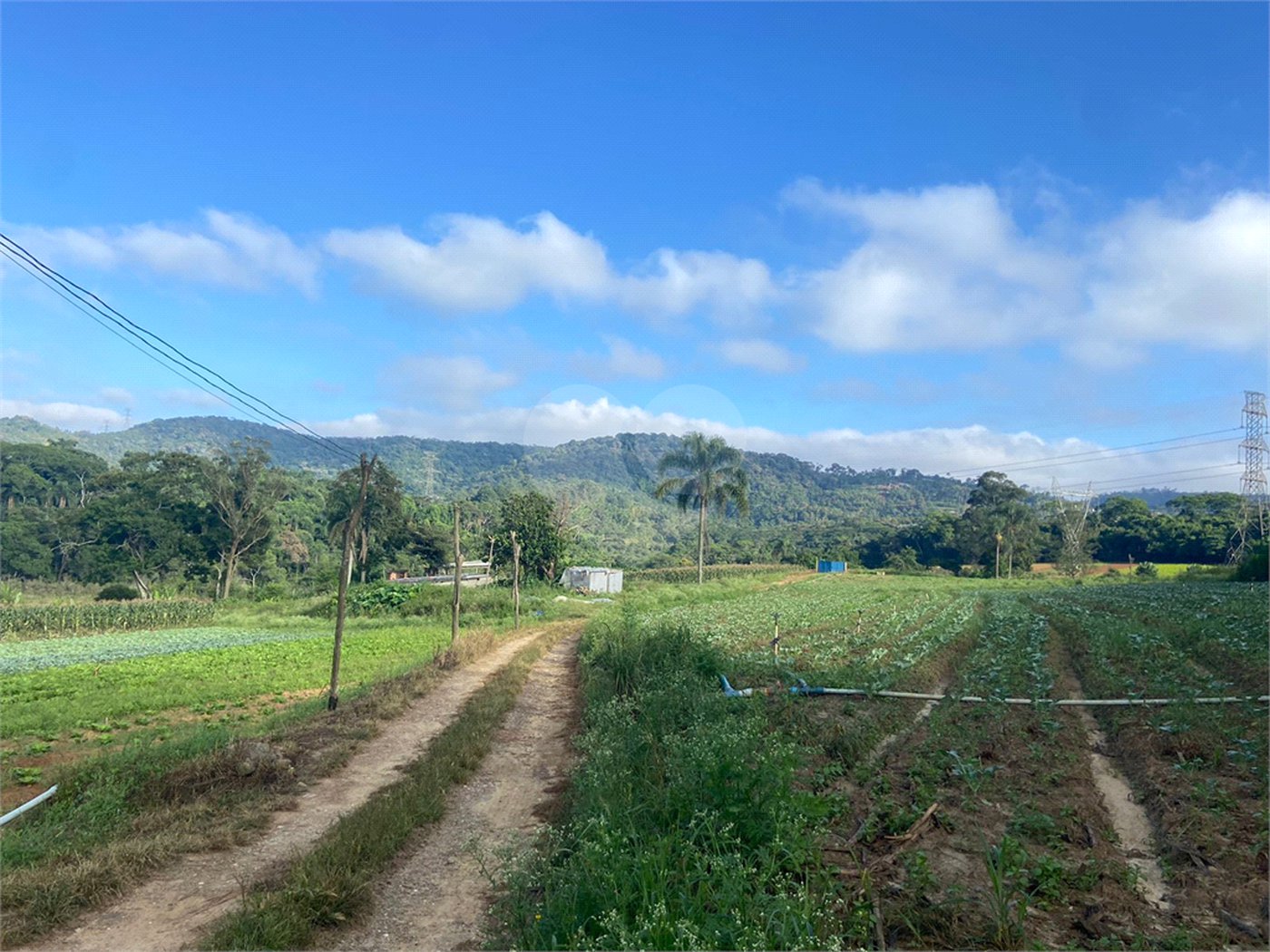 Terreno à venda em Parque Santa Rosa, Suzano, SP