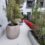 Apartamento à venda com 2 quartos, sendo 1 suíte,  em Jardim São Paulo(zona Norte), São Paulo, SP