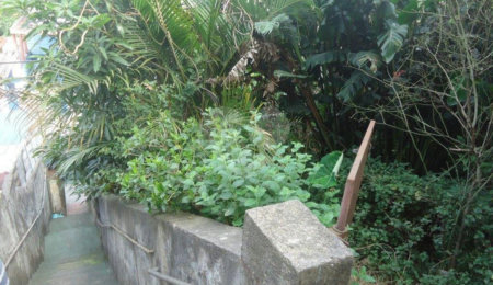 Terreno à venda em Vila Mazzei, São Paulo, SP