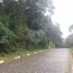 Terreno à venda em Parque Suíça, Caieiras, SP