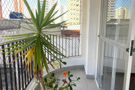 Apartamento para alugar com 3 quartos em Chácara Santo Antônio, São Paulo, SP