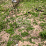 Terreno à venda em Recanto das Acácias, São Roque, SP