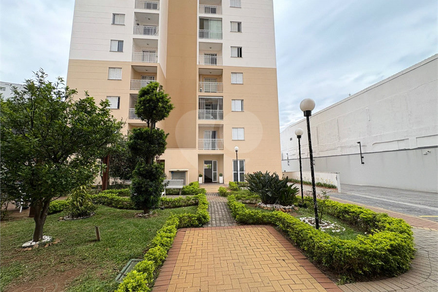Apartamento à venda com 3 quartos, sendo 1 suíte, em Limão, São Paulo, SP