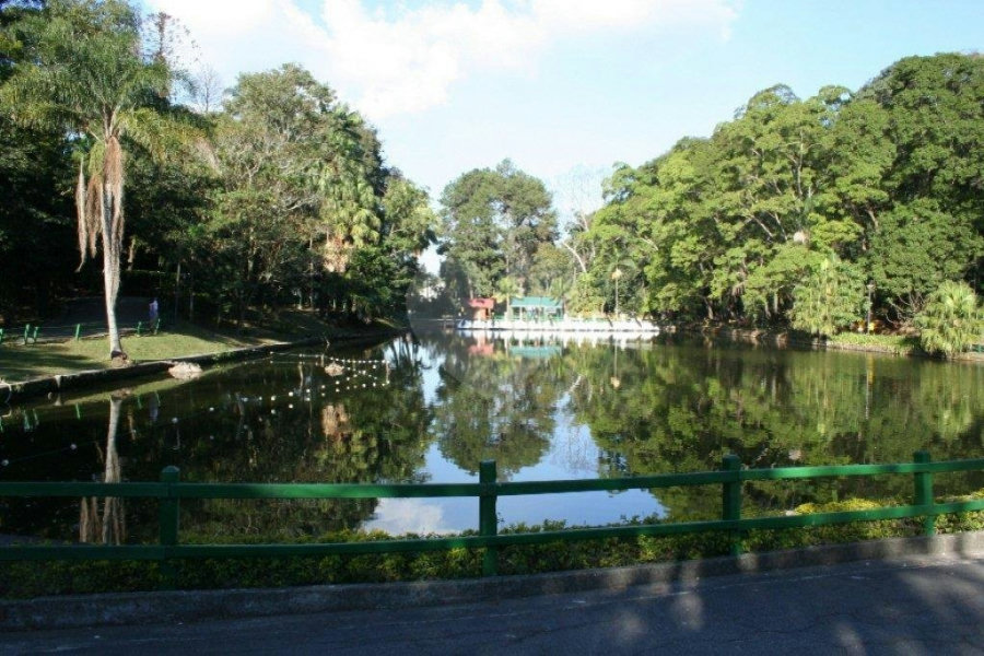 Terreno à venda em Horto Florestal, São Paulo, SP