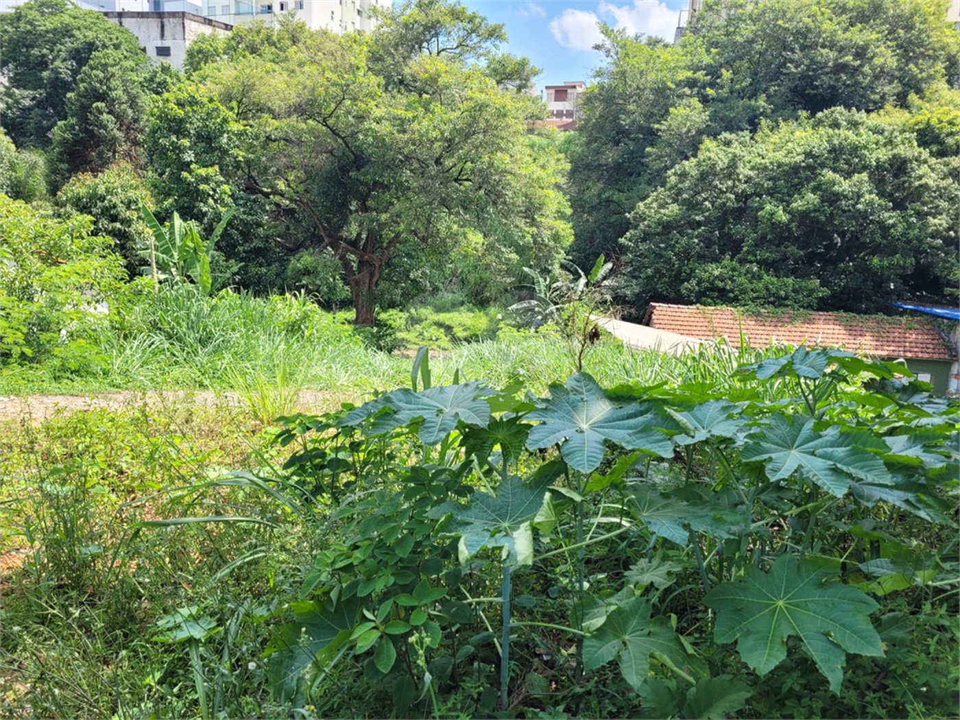 Terreno à venda com 1 quarto em Água Fria, São Paulo, SP