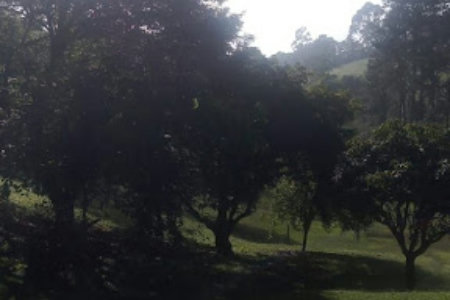 Sítio com 10 dormitórios à venda, 120000 m² por R$ 1.650.000,00 - Bairro Carmo Messias - Ibiúna/SP