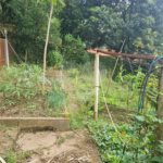 Chácara à venda com 4 quartos, sendo 2 suítes, em Jaraguá, São Paulo, SP