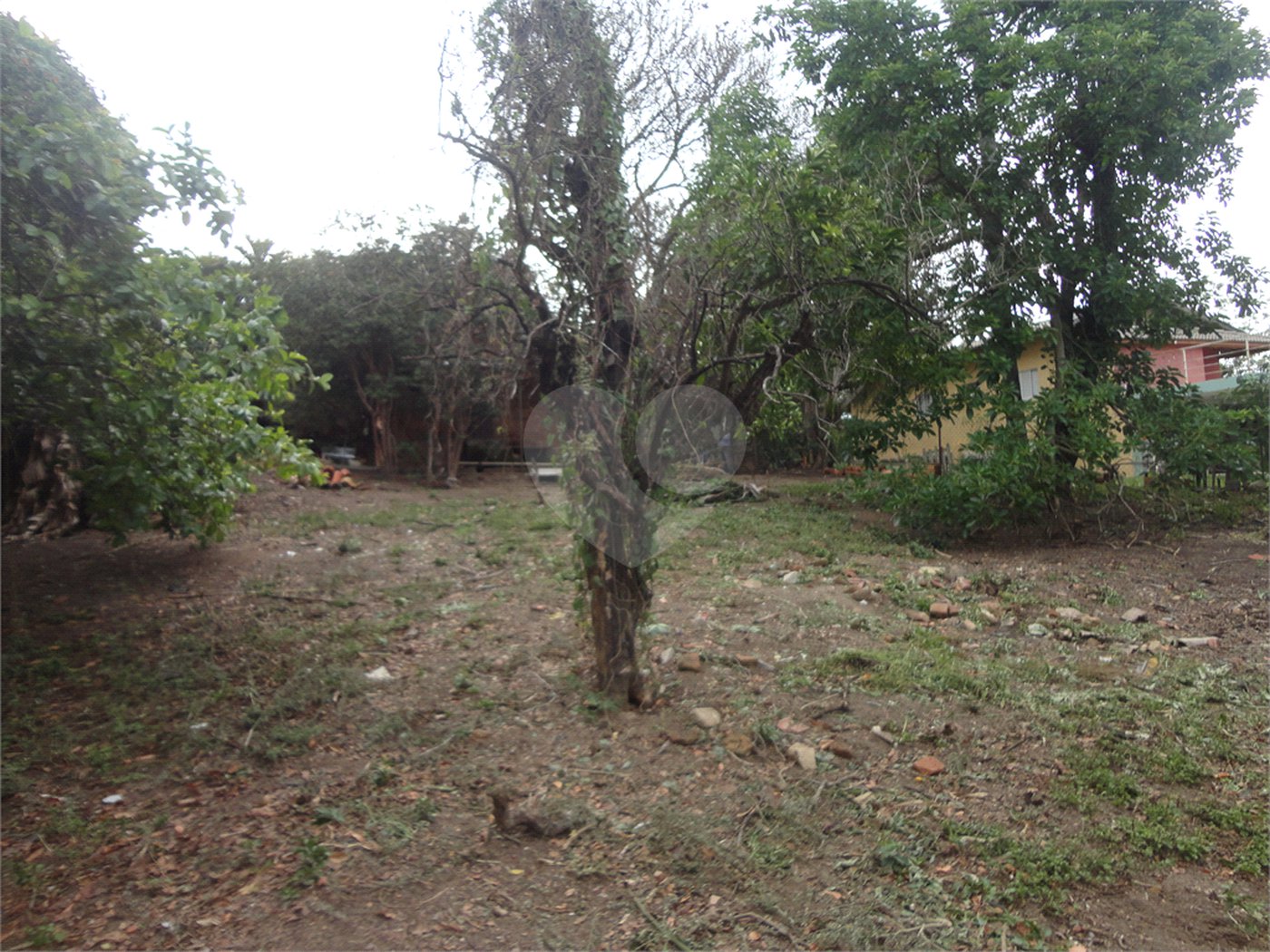Terreno à venda em Pinheirinho, Vinhedo, SP