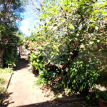 Casa à venda com 3 quartos no Centro, Araraquara, SP