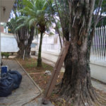Casa Térrea à venda com 4 quartos, sendo 1 suíte, em Vila Rosália, Guarulhos, SP