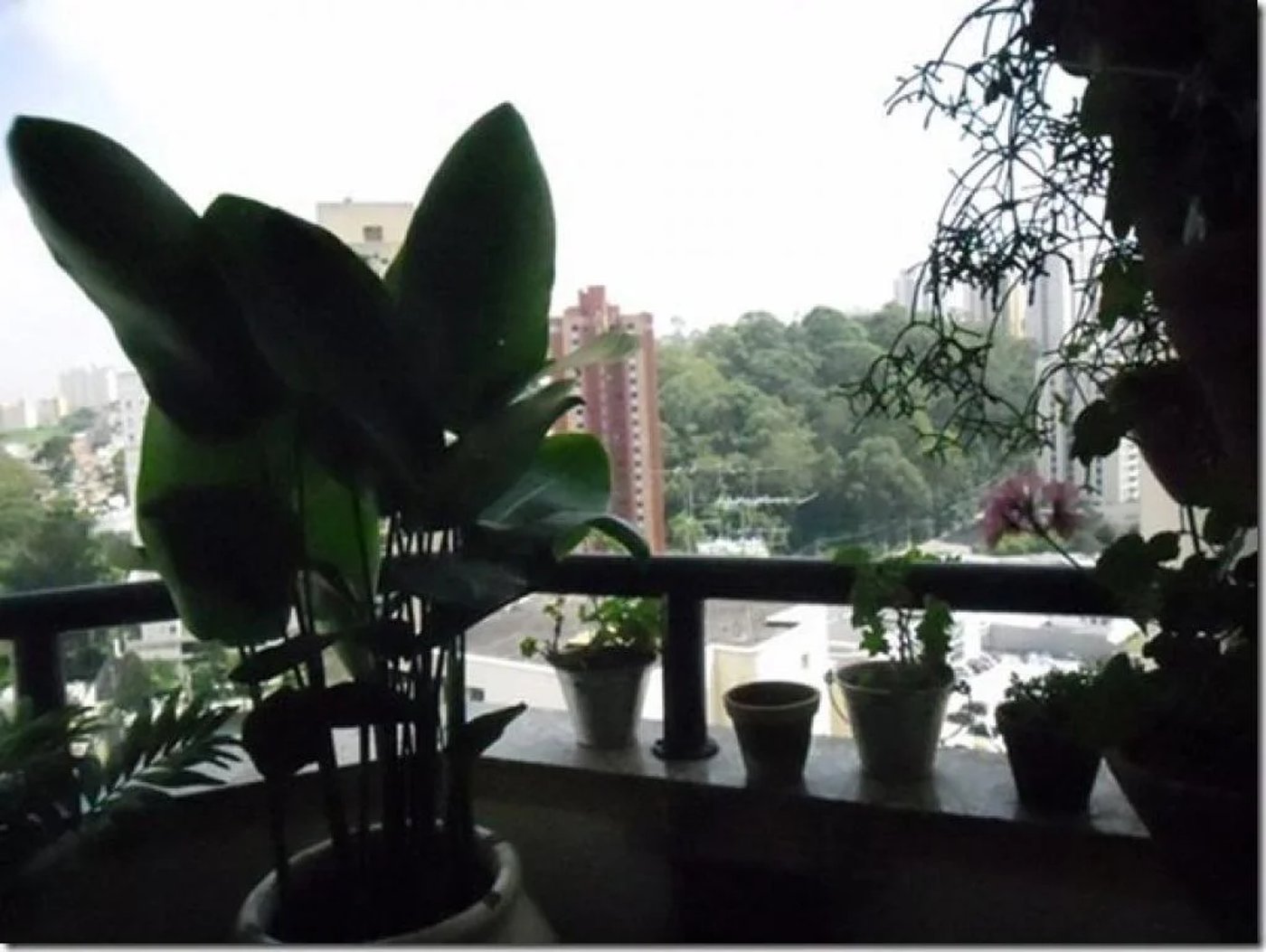 Apartamento à venda com 3 quartos, sendo 1 suíte,  em Vila Andrade, São Paulo, SP