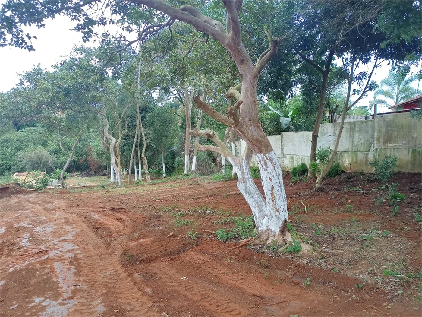 Terreno à venda em Vila Sol Nascente, Suzano, SP
