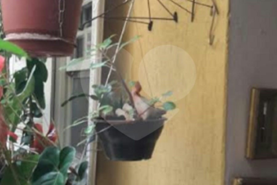 Sobrado à venda com 3 quartos em Santana, São Paulo, SP