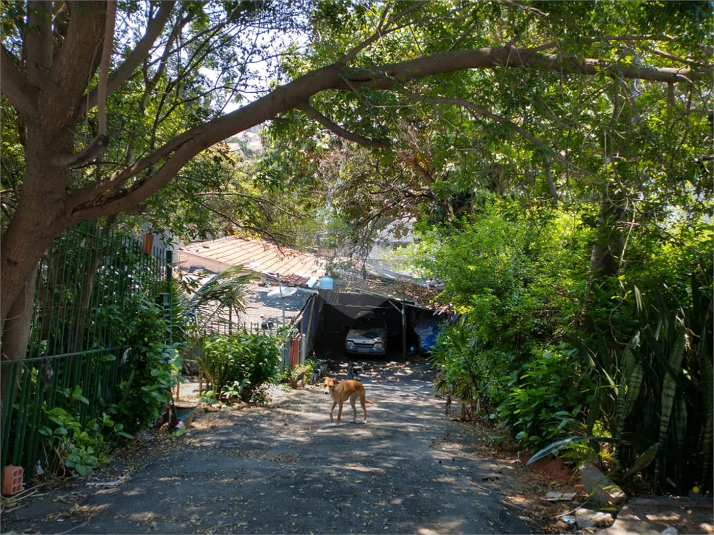 Terreno à venda com 2 quartos em Tucuruvi, São Paulo, SP