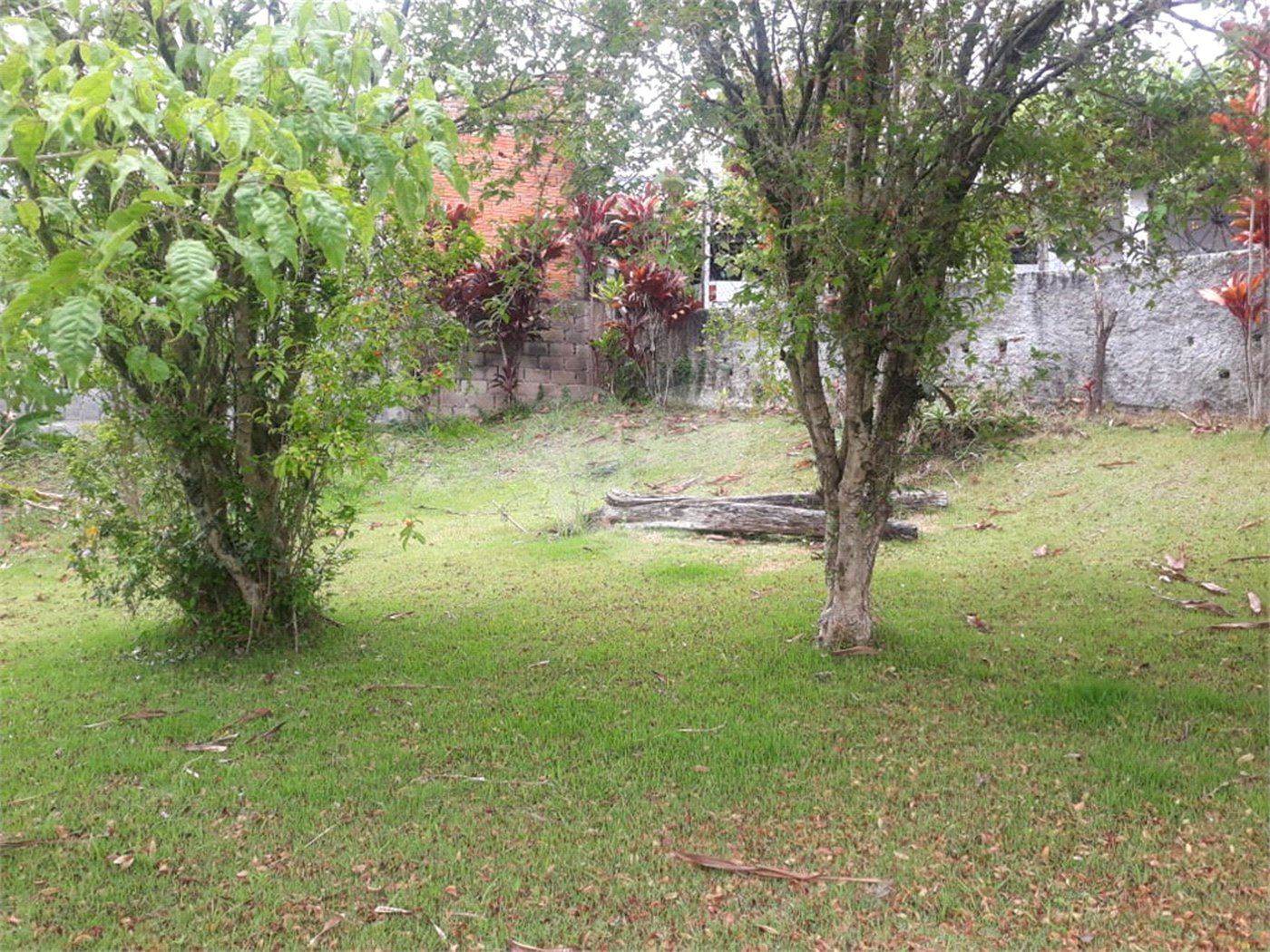 Terreno para alugar em Jardim Rene, São Roque, SP