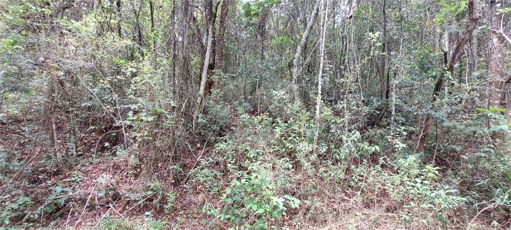 Terreno à venda no condomínio Alpes da Cantareira, Mairiporã - SP