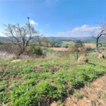Área de Terra à venda com 1 suíte em Cocais, Itatiba, SP