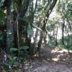 Terreno à venda em Tremembé, São Paulo, SP