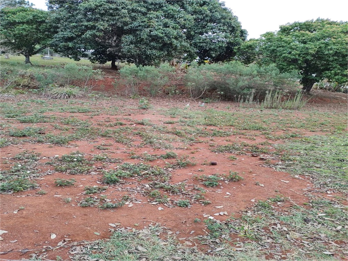 Terreno à venda em Chácara Fernão Dias, Bragança Paulista, SP