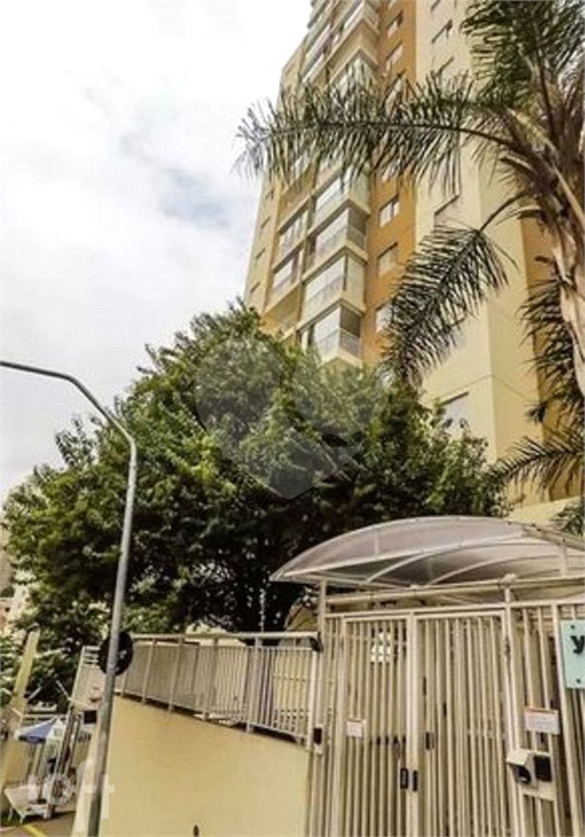Apartamento à venda com 3 quartos, sendo 1 suíte, em Jardim Previdência, São Paulo, SP