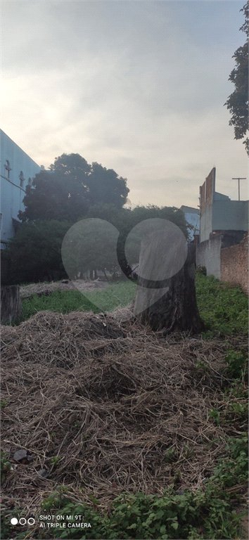Terreno à venda com 3 quartos, sendo 1 suíte, em Imirim, São Paulo, SP