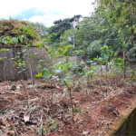 Terreno à venda em Santana, São Paulo, SP