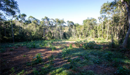 Terreno à venda no Centro (canguera), São Roque, SP