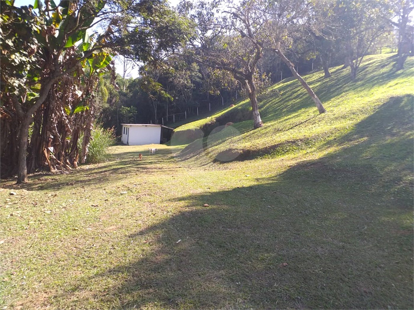 Sítio à venda com 4 quartos, sendo 1 suíte,  em Cruz das Almas, Biritiba-mirim, SP