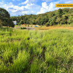Terreno à venda em Taipas de Pedras (mailasqui), São Roque, SP