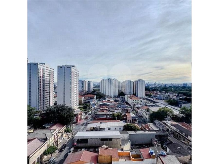 Apartamento à venda com 3 quartos, sendo 1 suíte, em Belenzinho, São Paulo, SP