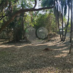 Terreno à venda em Alto da Boa Vista, São Paulo, SP