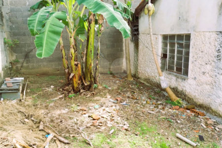 Terreno para alugar em Vila São Luís(zona Oeste), São Paulo, SP