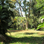 Terreno à venda em Chácara Flora, São Paulo, SP