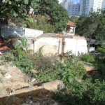 Terreno à venda ou para alugar em Água Fria, São Paulo, SP