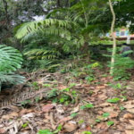 Terreno à venda em Jardim Leonor, São Paulo, SP