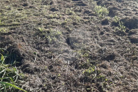 Terreno à venda no condomínio Terras de Santa Izabel, Salto - SP