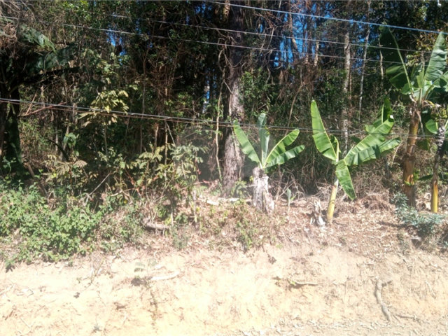 Terreno à venda em Serra da Cantareira, Mairiporã, SP